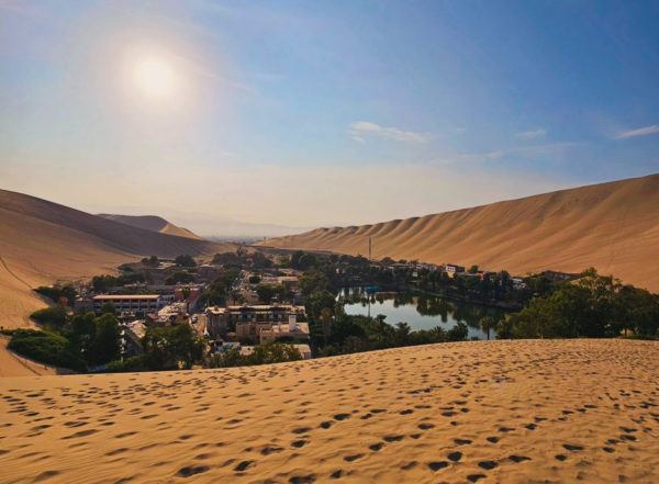 Full Day Oasis Huacachina e Ilhas Ballestas - Privado - Imagem 8