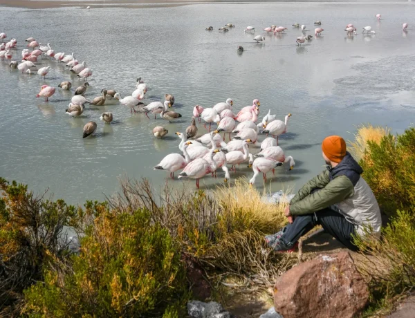 Pacote Salar de Uyuni Compartilhado 3 Dias e 2 Noites (Atacama - Uyuni) - Imagem 8