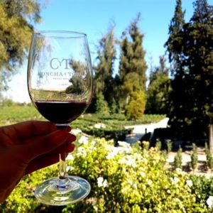 Vinícola Concha y Toro Noturno