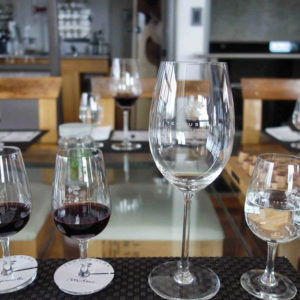 Bodegas Luján e Maipú - Full Day