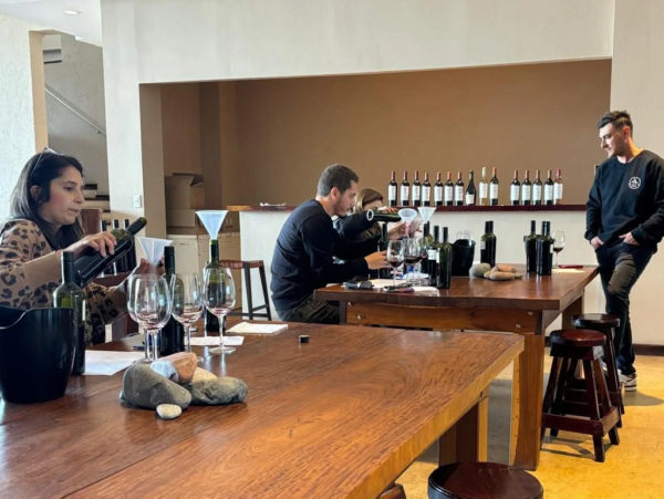 Vinhos e Azeites em Maipú - Imagem 8