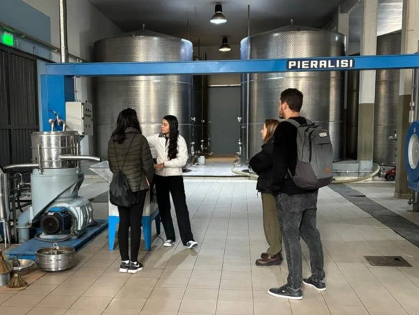 Vinhos e Azeites em Maipú - Imagem 7