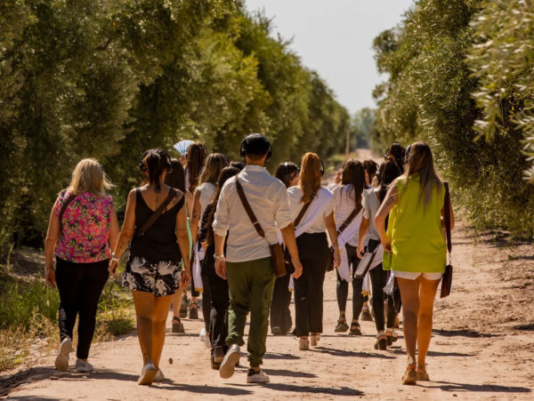 Bodega Luigi Bosca – Finca El Paraíso - Experiência Canastra - Imagem 4