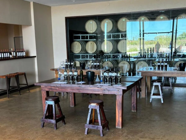 Vinhos e Azeites em Maipú - Imagem 6