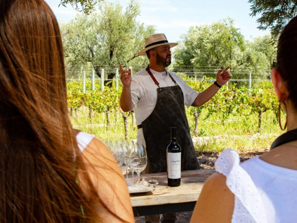 Bodega Luigi Bosca – Finca El Paraíso - Experiência Canastra - Imagem 5
