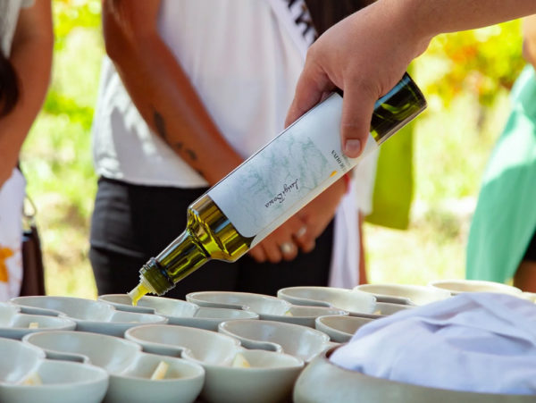 Bodega Luigi Bosca – Finca El Paraíso - Experiência Canastra - Imagem 7