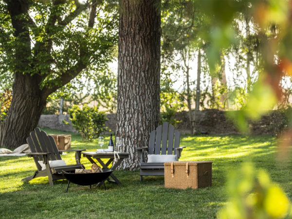 Bodega Luigi Bosca – Finca El Paraíso - Experiência Canastra - Imagem 8