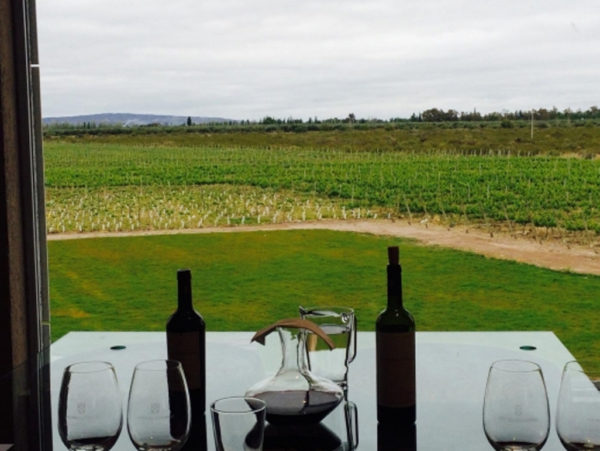 Vinhos e Azeites em Maipú - Imagem 2