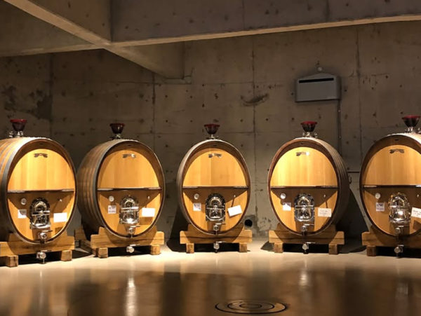 Bemberg Estate Wines e Clube do Vinho Estancia Atamisque - Imagem 3