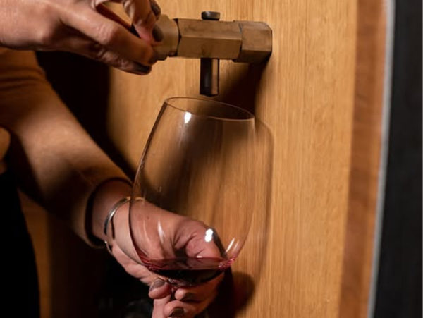 Vinícolas em Maipú com almoço na Vinícola Santa Julia - Full Day - Imagem 7