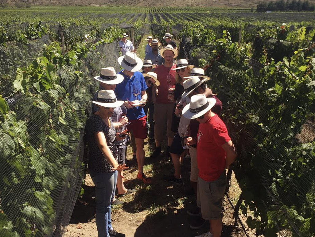 Vinícola Catena Zapata e Quimera Bistro - Imagem 4