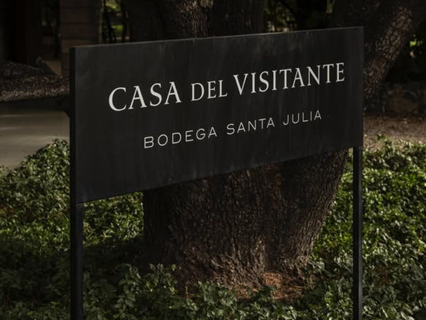 Vinícola Trapiche e Santa Julia com Criança - Imagem 5