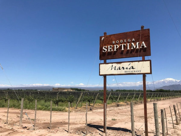 Vinícola Budeguer e Séptima - Imagem 5