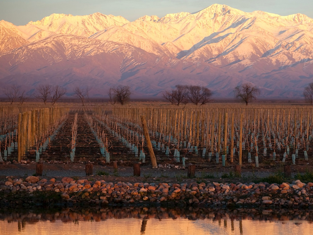 Vinícola Catena Zapata e Quimera Bistro