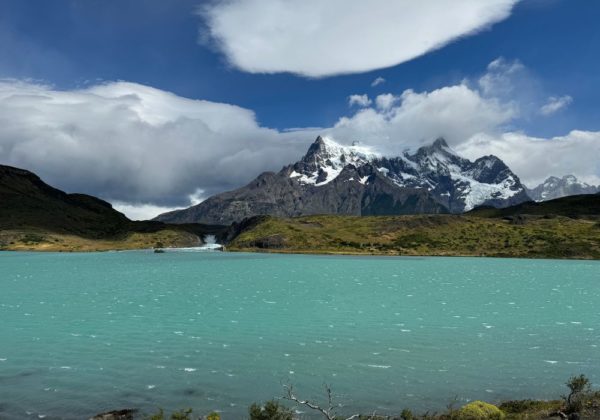 Full Day Torres del Paine - Saída Puerto Natales - Imagem 6