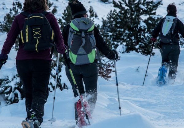 Caminhada com Raquetes de Neve La Parva - Imagem 3