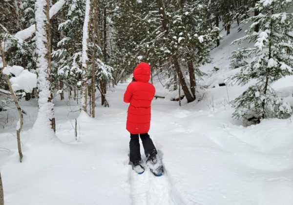 Caminhada com Raquetes de Neve La Parva - Imagem 4