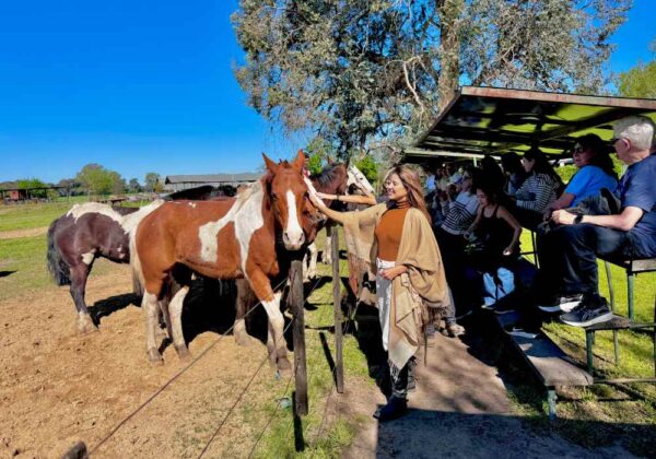 Estância Don Silvano