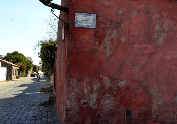 ⁠Colônia Wine Tour Experience - Imagem 4