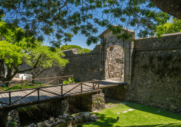 ⁠Colônia Wine Tour Experience - Imagem 2