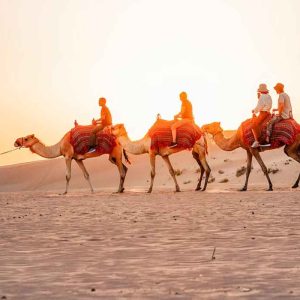 Safári de Luxo e Noite no Deserto