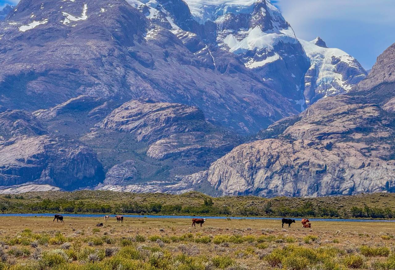 Estância Cristina Trekking- El Calafate - Imagem 10
