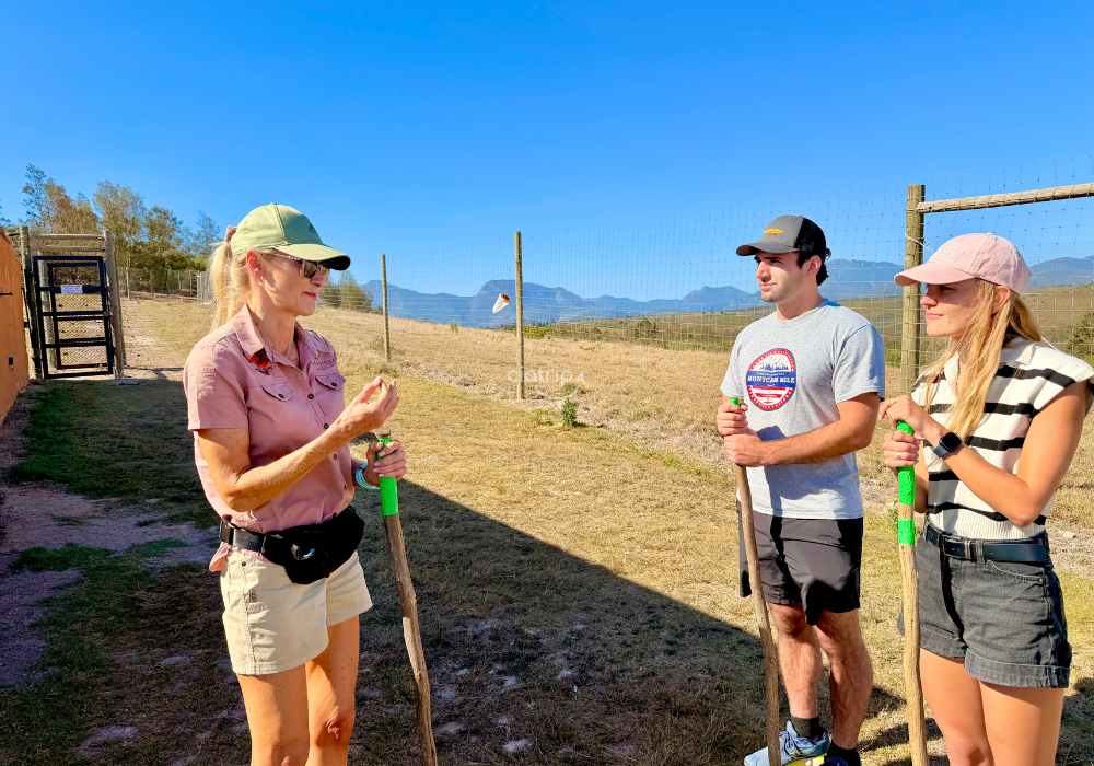 Safári e Interação com Elefantes e Leões - Imagem 7