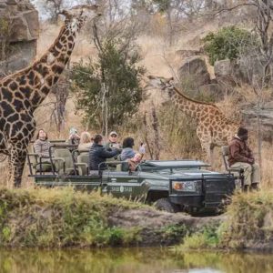 Parque Nacional Kruger  - 3 Dias