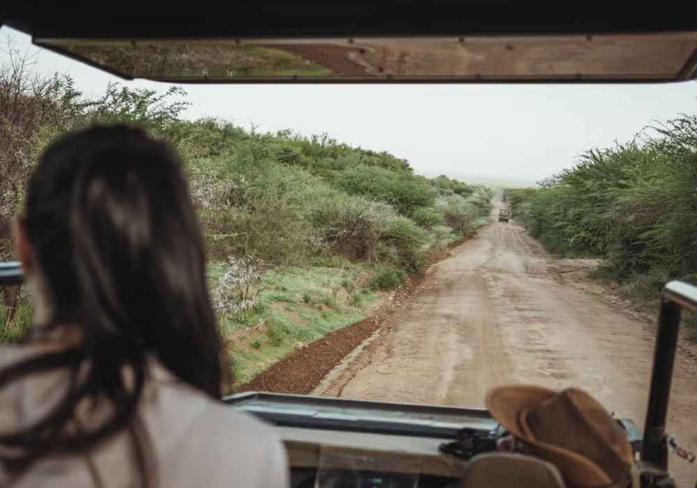 Safári pelo Parque Pilanesberg - Imagem 3