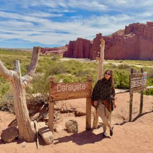 Day Tour Cafayate - Salta