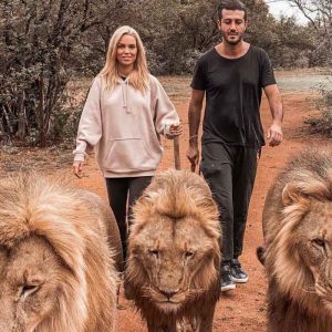 Caminhada com Leões e Santuário dos Elefantes