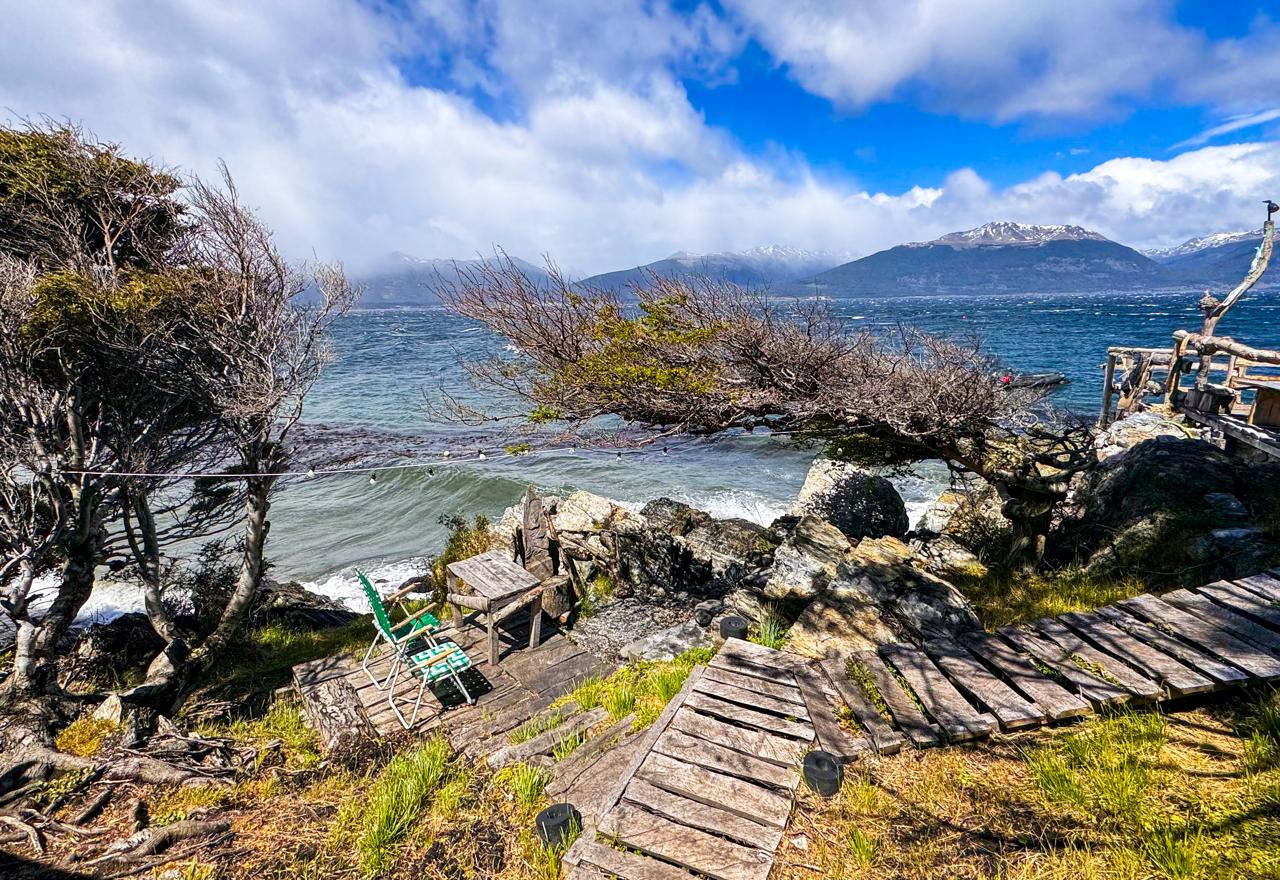 Beagle Food Experience - Imagem 2