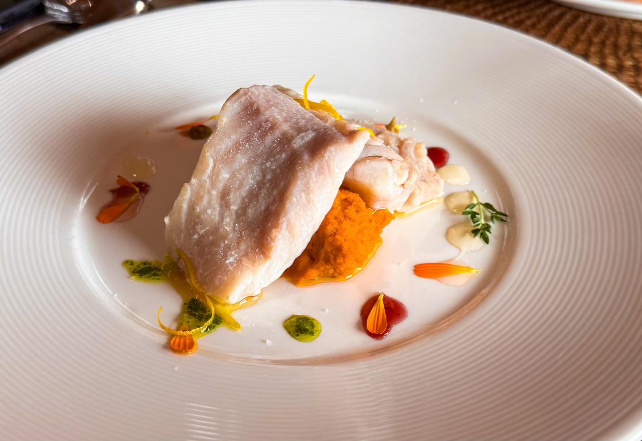 Beagle Food Experience - Imagem 5