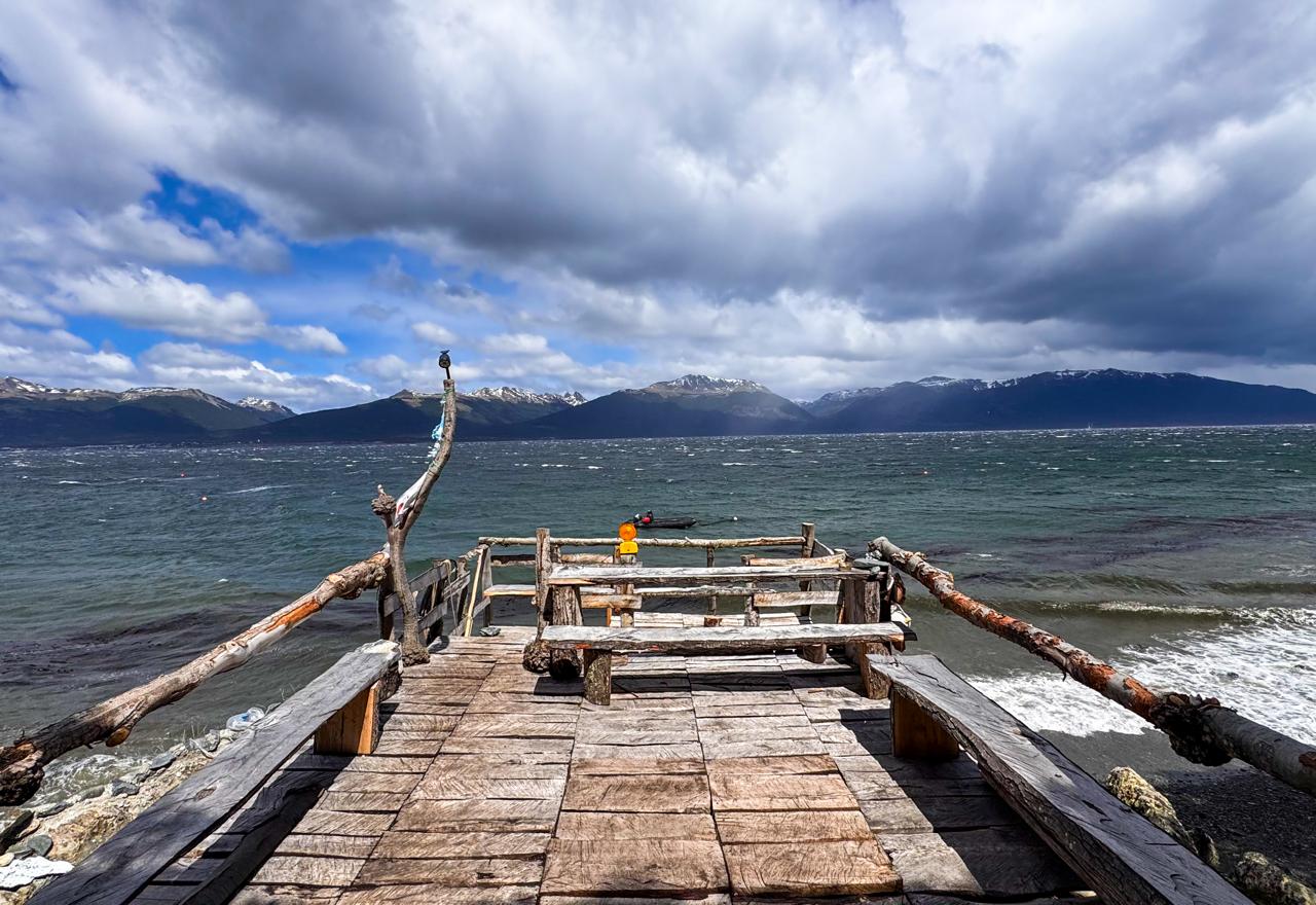 Beagle Food Experience - Imagem 6