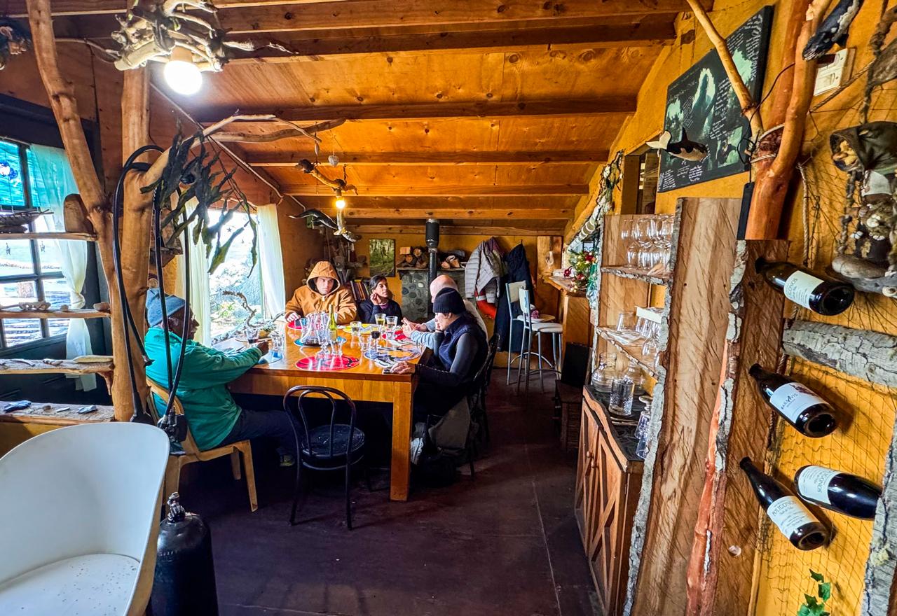 Beagle Food Experience - Imagem 8