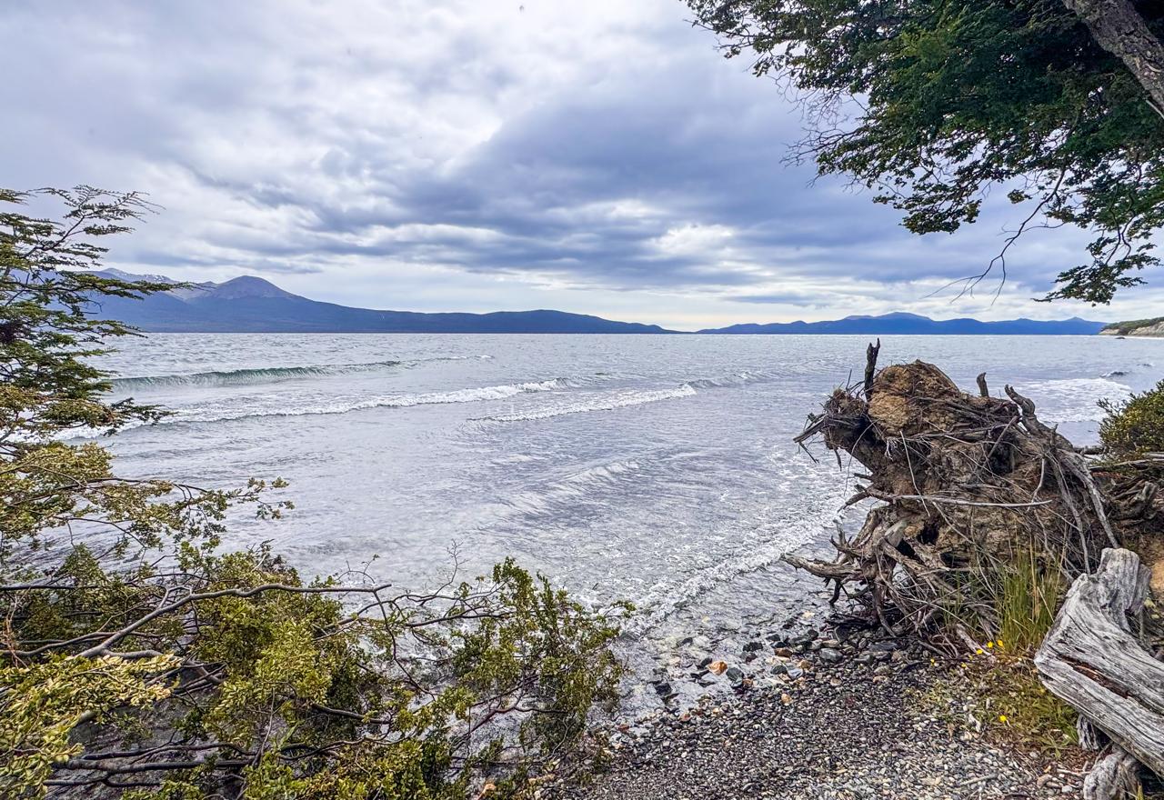 Off Road 4x4 Experience com Canoas - Imagem 2