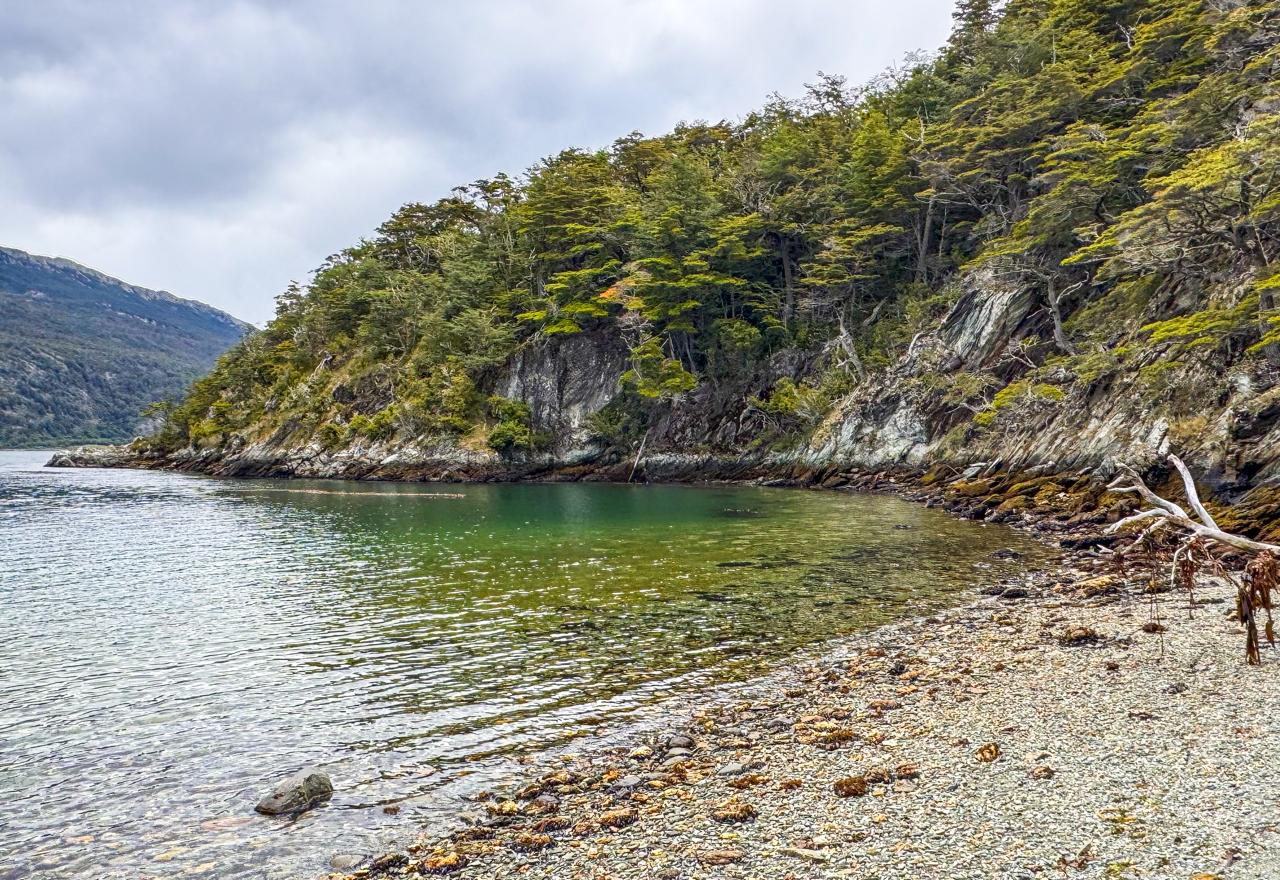 Parque Nacional Tierra de Fuego com Trekking e Canoas - Imagem 6
