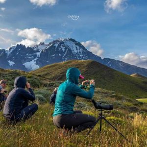 Observando Pumas - Puerto Natales