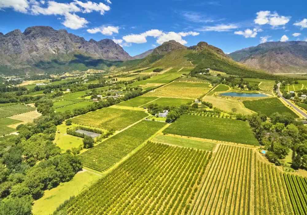 Excursão Vinícola por Stellenbosch - Privativo - Imagem 4