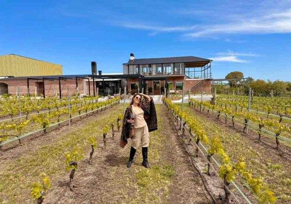 ⁠Colônia Wine Tour Experience