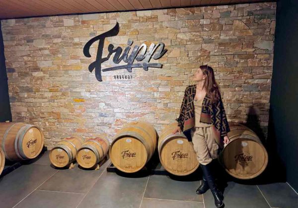 ⁠Colônia Wine Tour Experience - Imagem 7