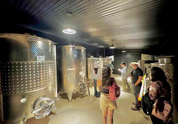 ⁠Colônia Wine Tour Experience - Imagem 8