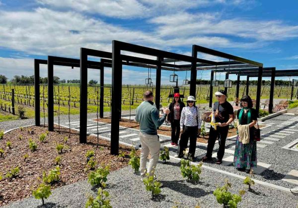 ⁠Colônia Wine Tour Experience - Imagem 9